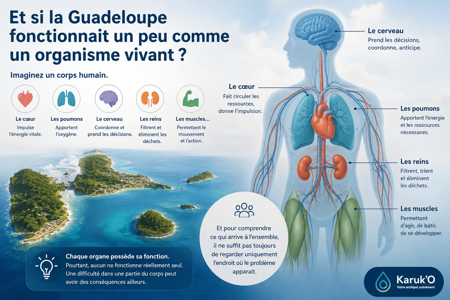 Représentation de l’archipel comme un organisme vivant et interconnecté.